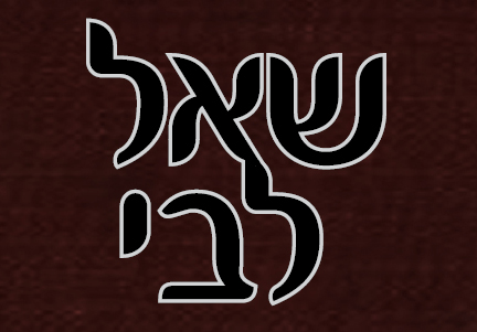 שאילות להרב שליט"א שאילות להרב שליטה